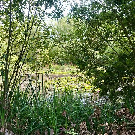Eikenburg B&B Eindhoven Luaran gambar
