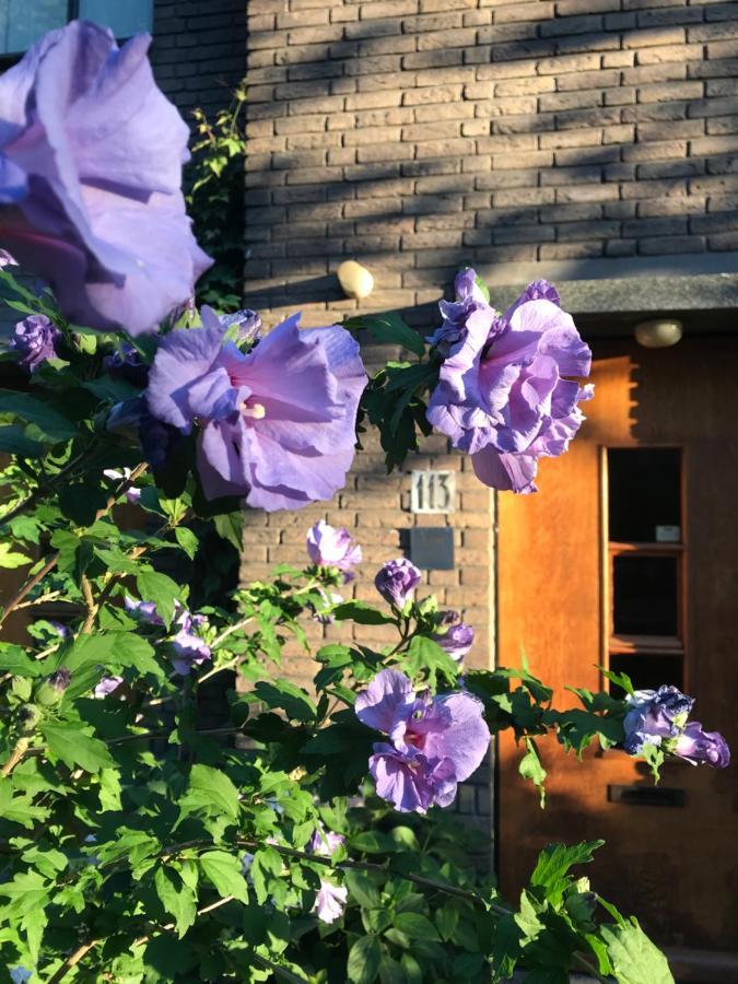 Eikenburg B&B Eindhoven Luaran gambar