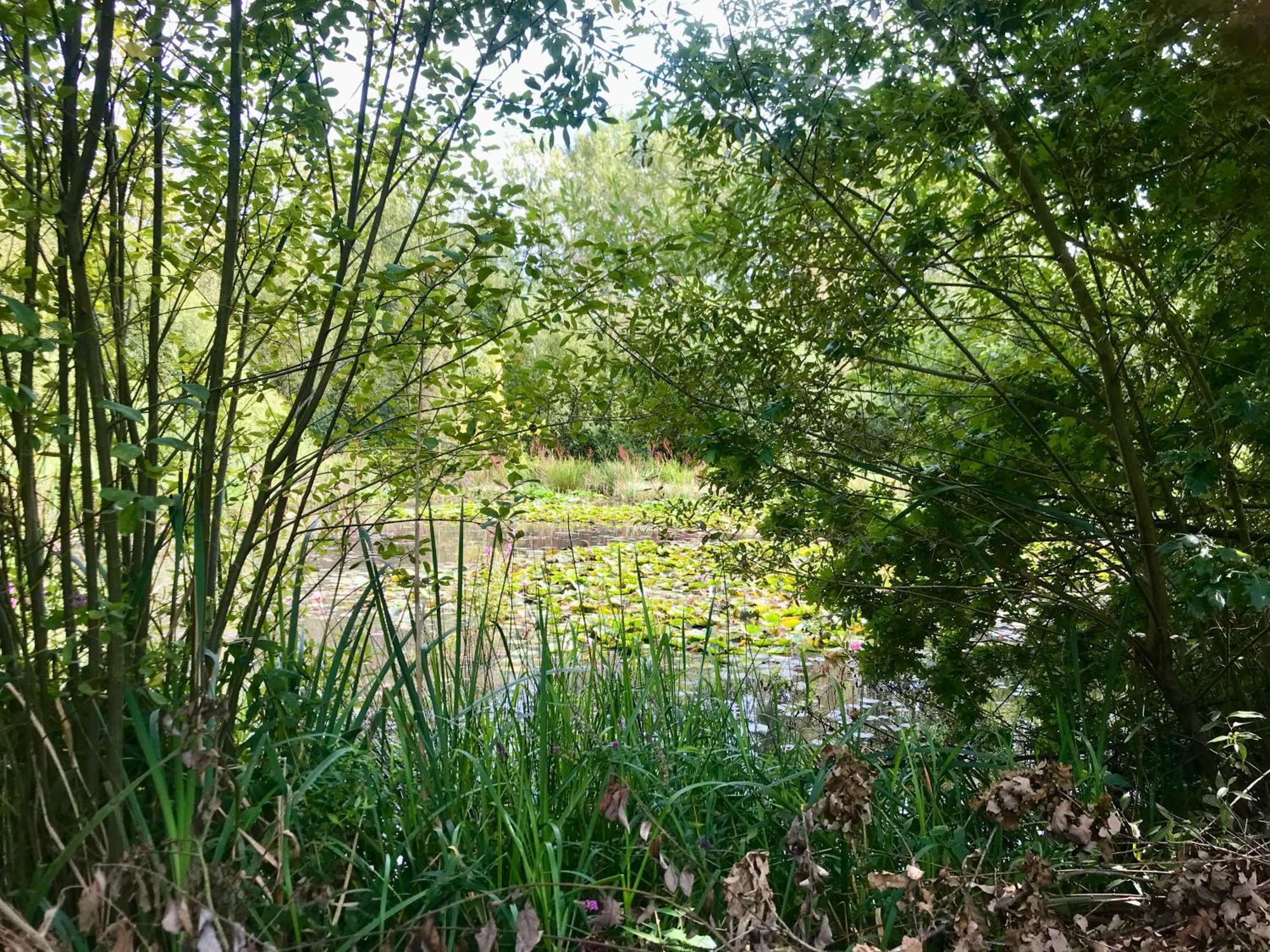 Eikenburg B&B Eindhoven Luaran gambar